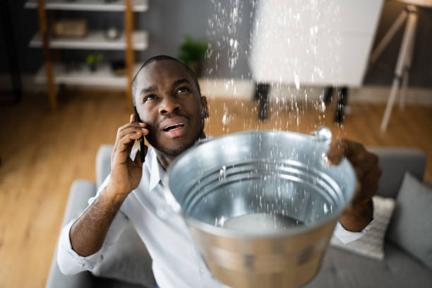 Best Ceiling water damage repair  in Beaver Dam, WI
