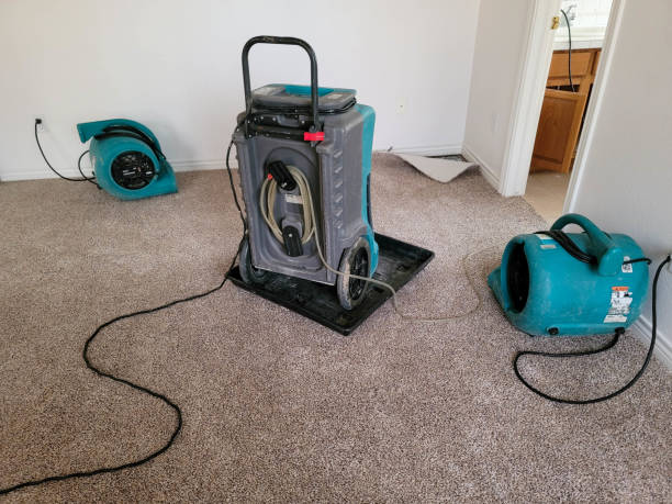 Best Flood restoration services  in Beaver Dam, WI