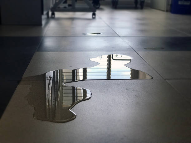 Professional Water damage restoration in Beaver Dam, WI