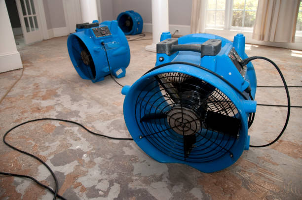 Best Professional water damage repair  in Beaver Dam, WI