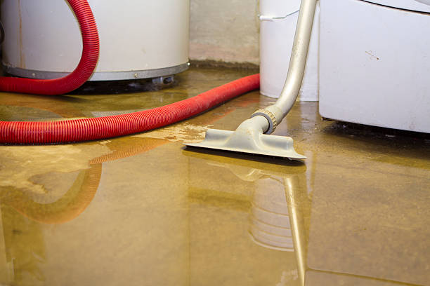 Best Local water damage restoration  in Beaver Dam, WI
