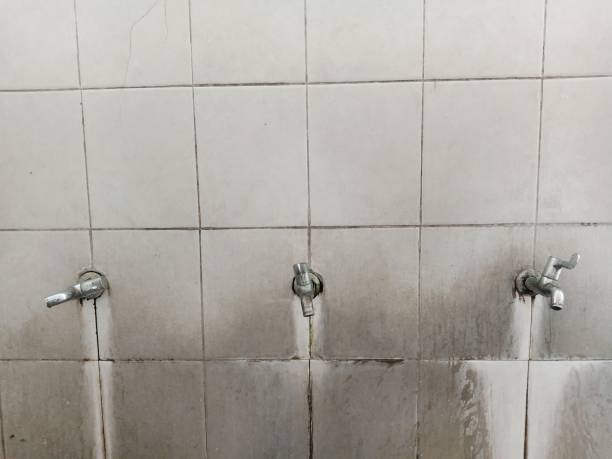 Best Water damage restoration specialists  in Beaver Dam, WI