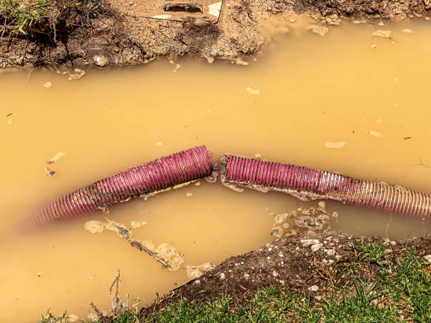 Best Carpet water damage restoration  in Beaver Dam, WI